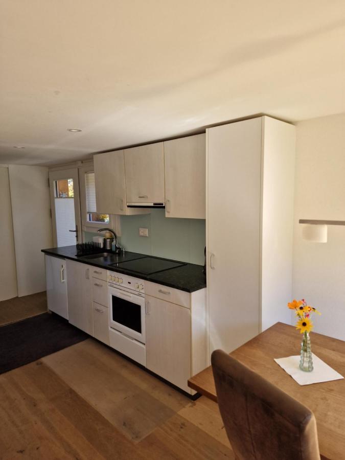 Chalet Viola - Verena'S Loft Wengen Luaran gambar