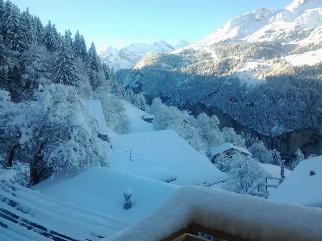 Chalet Viola - Verena'S Loft Wengen Luaran gambar