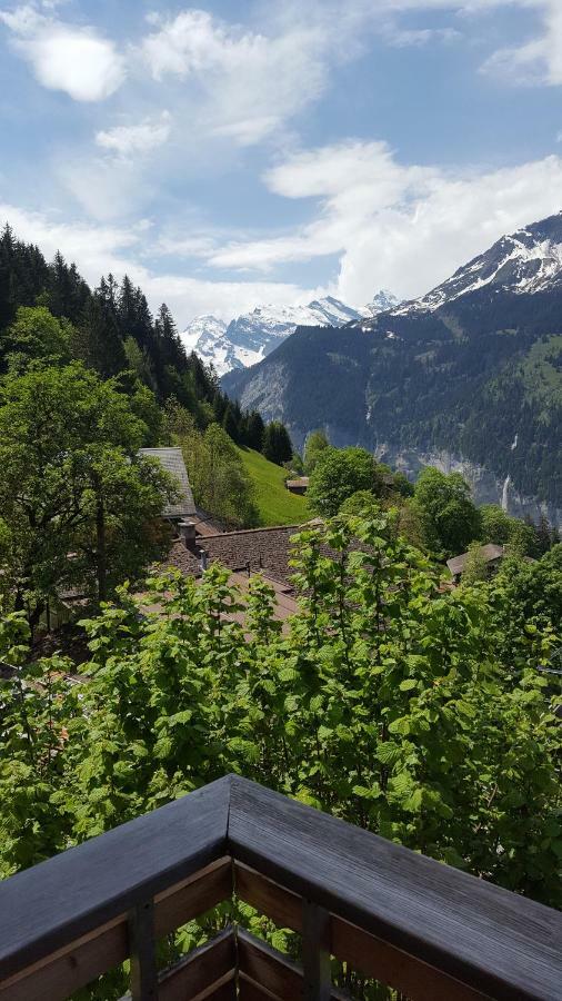 Chalet Viola - Verena'S Loft Wengen Luaran gambar